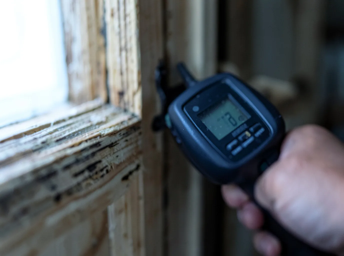 Moisture Inspection And Documentation in Parma, ID